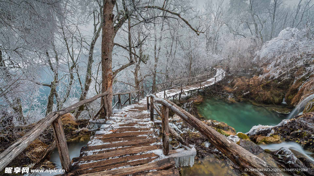 风景