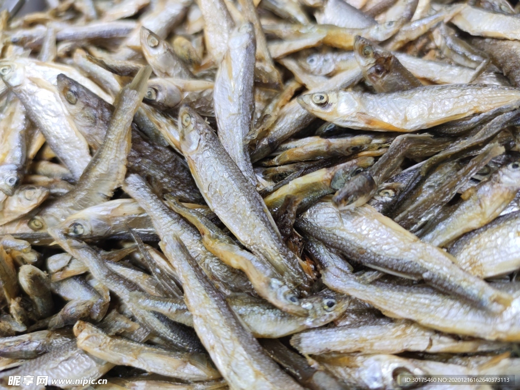 海鲜干货 鱼干
