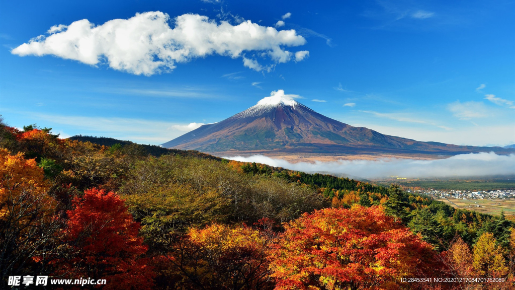 风景
