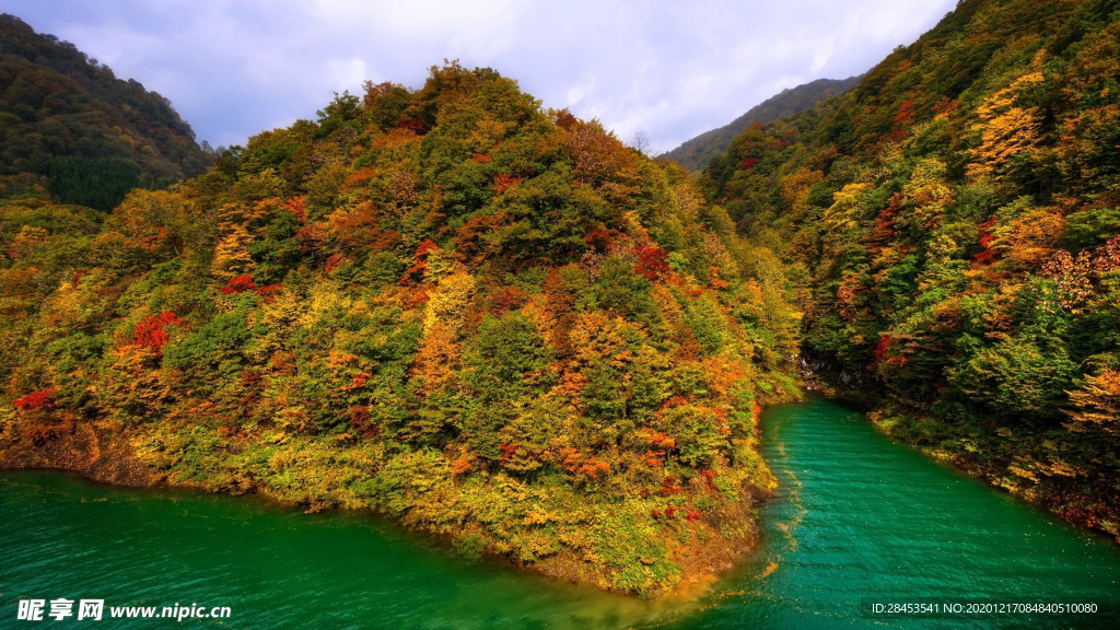 风景