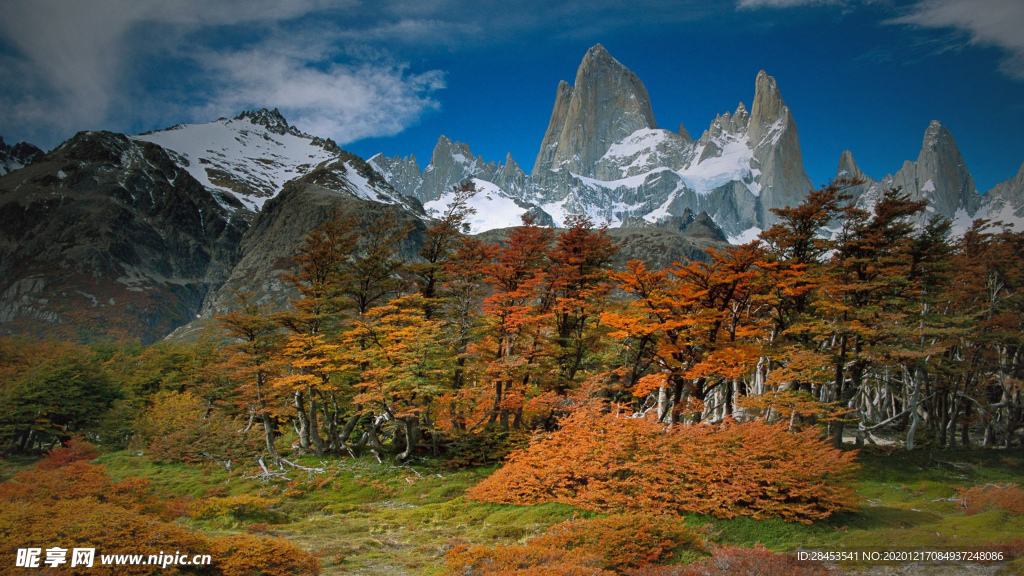 风景
