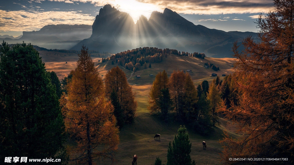 风景