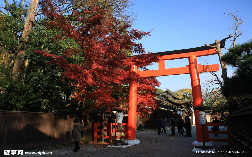风景