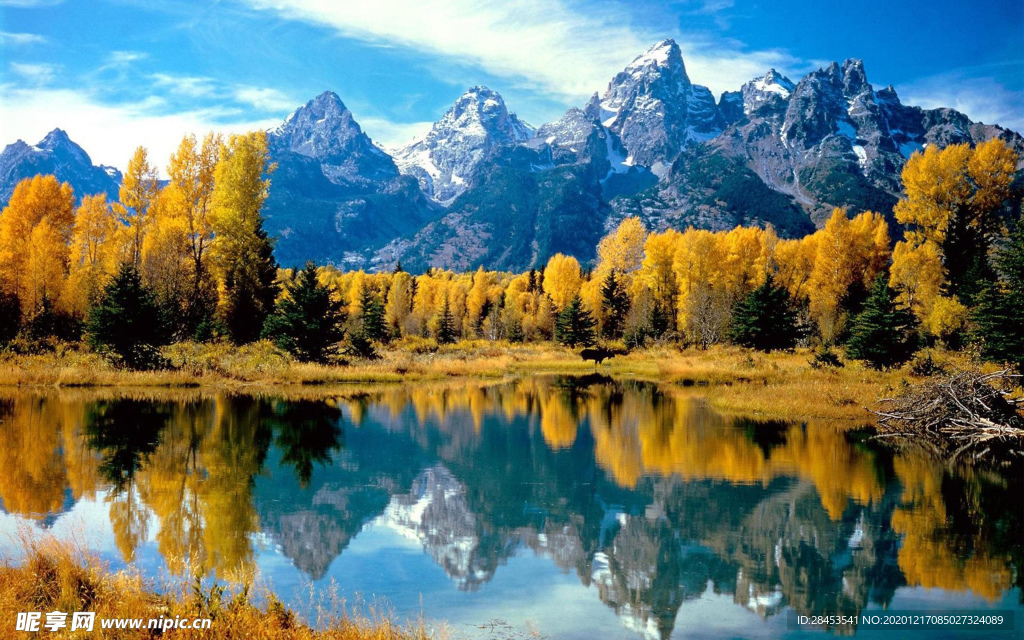 风景