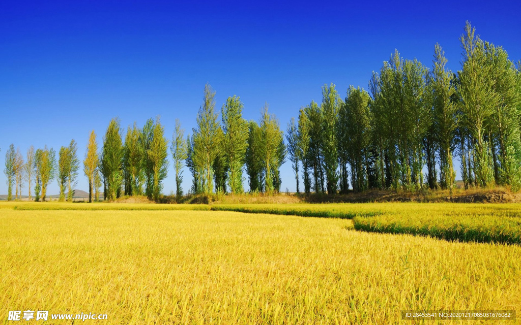 风景