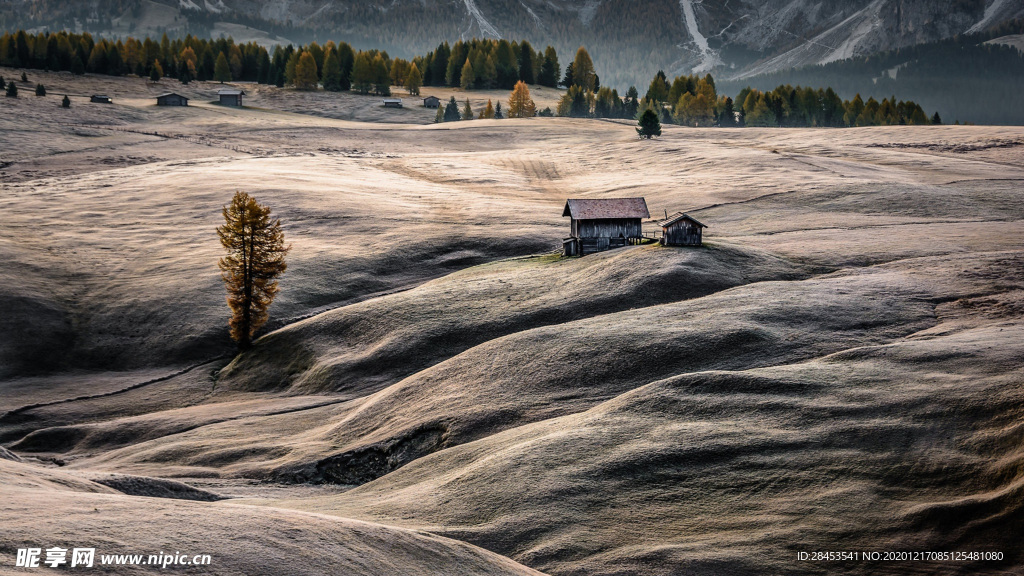 风景
