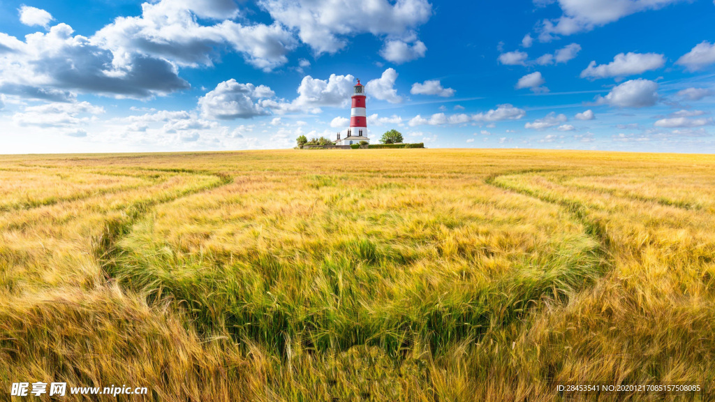 风景