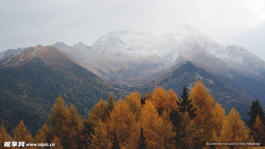 风景