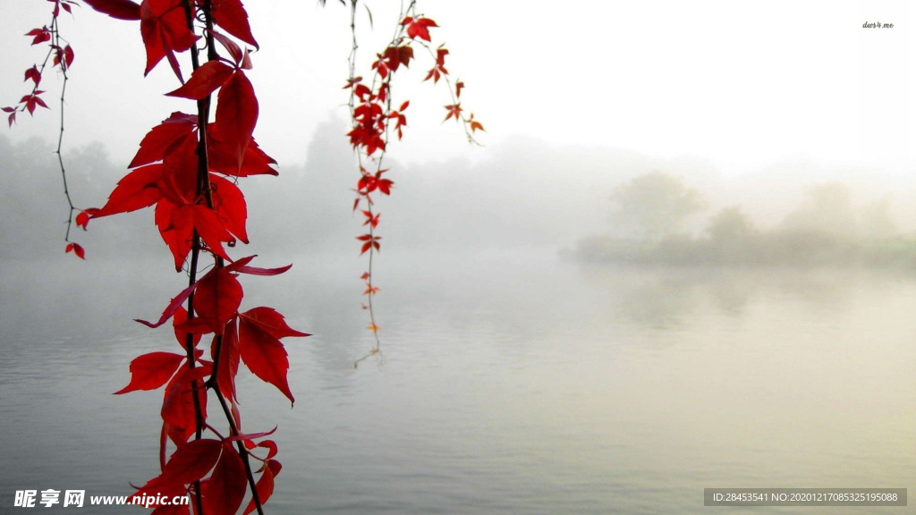 风景