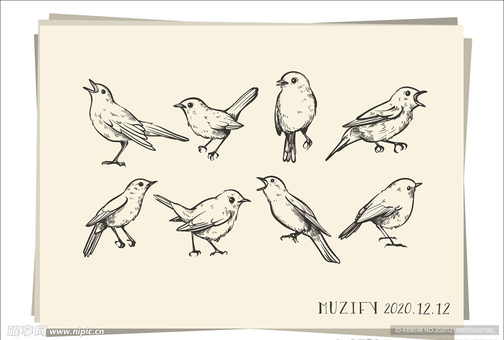 8款入小鸟素描画