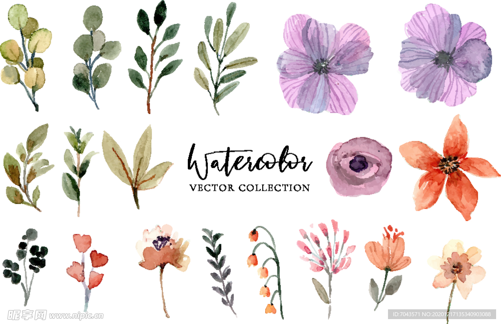 水彩花卉