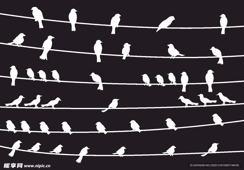 矢量小鸟图片图形