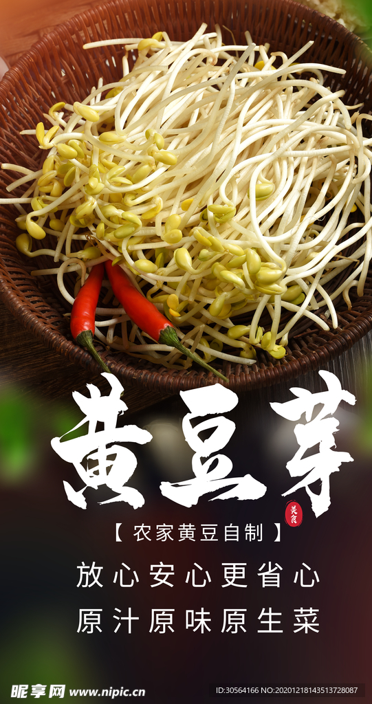 黄豆芽食材宣传活动海报素材