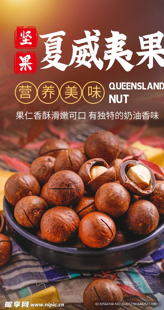 夏威夷果坚果宣传活动海报素材
