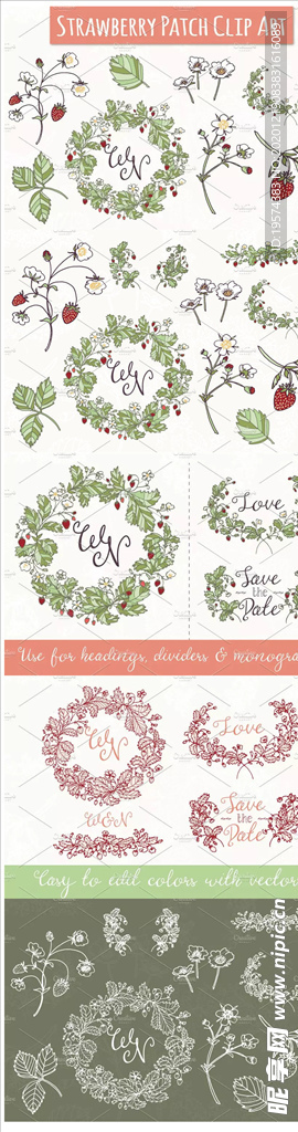 草莓植物花卉素材