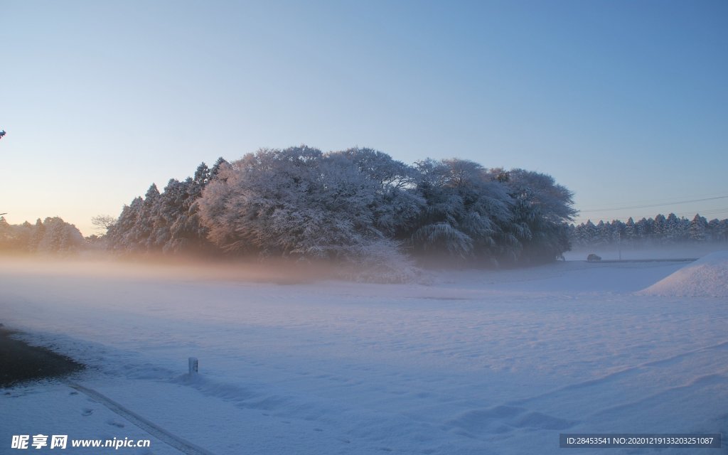 风景