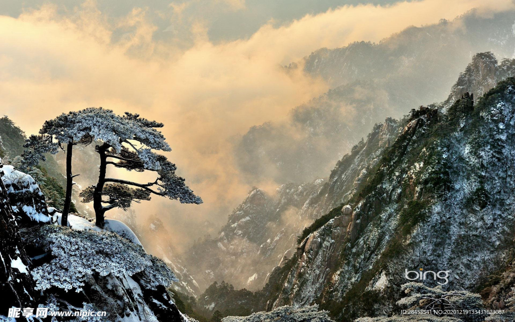 风景