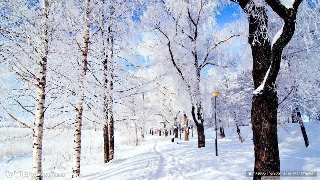 风景雪景