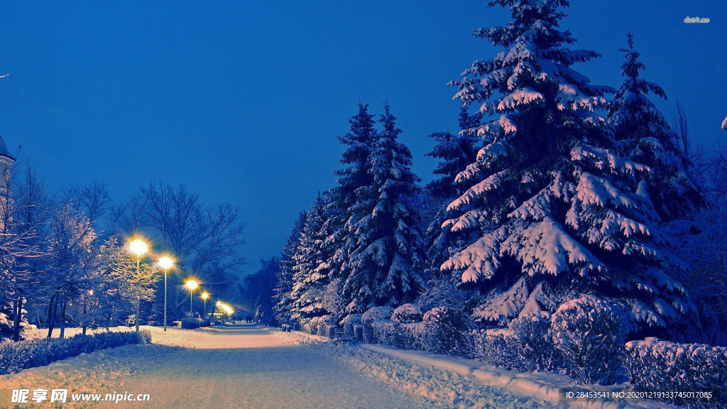 风景 雪景