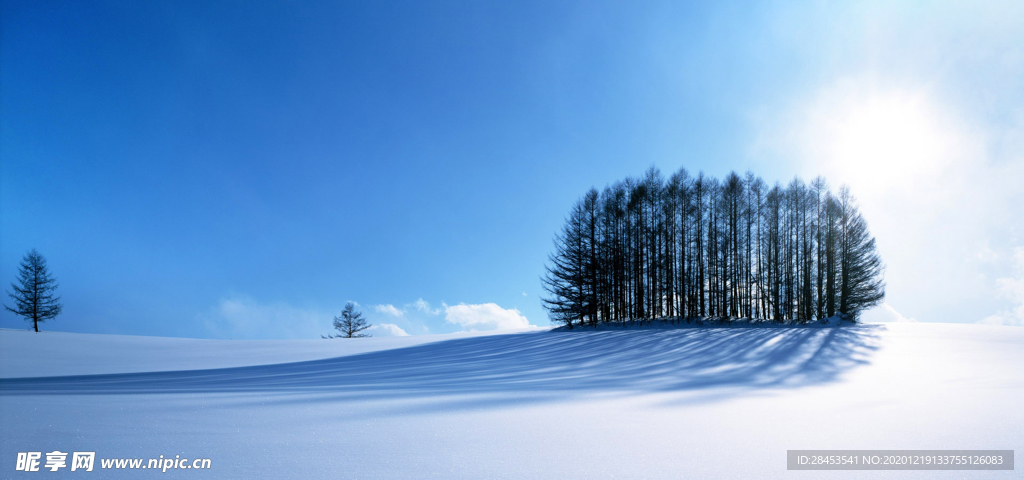 风景 雪景