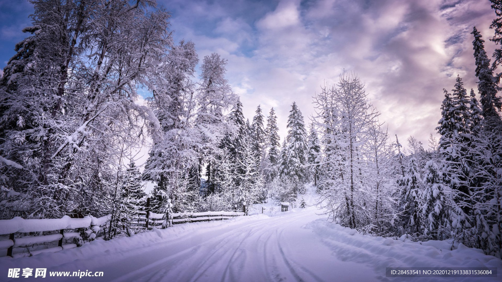 风景 雪景