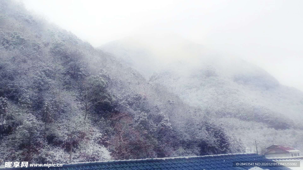 风景 雪景