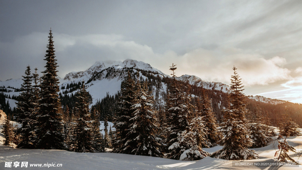 风景 雪景