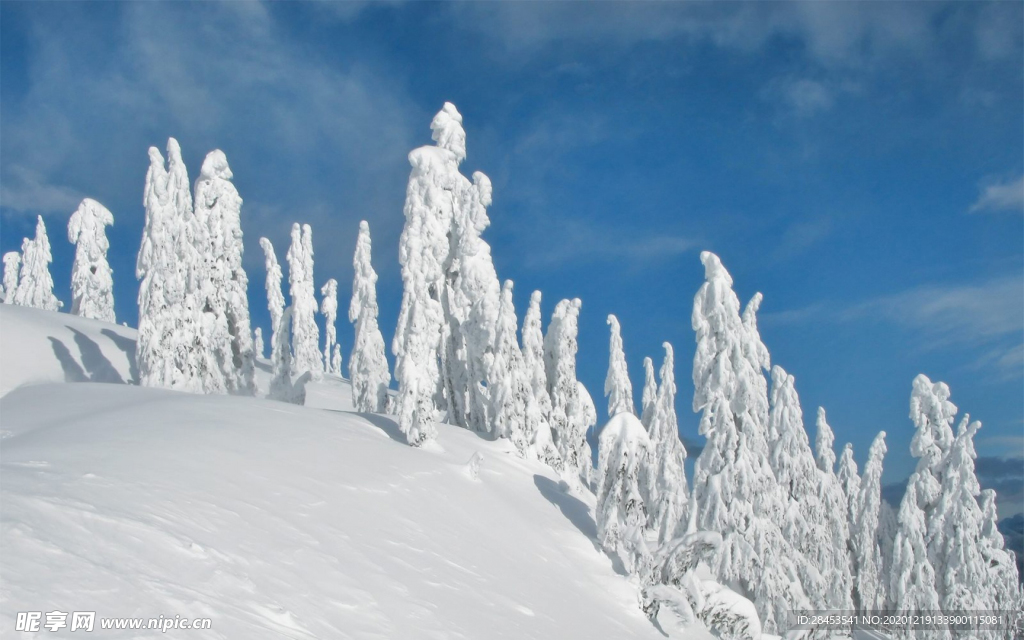 风景 雪景