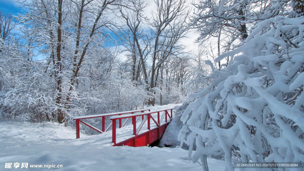风景 雪景