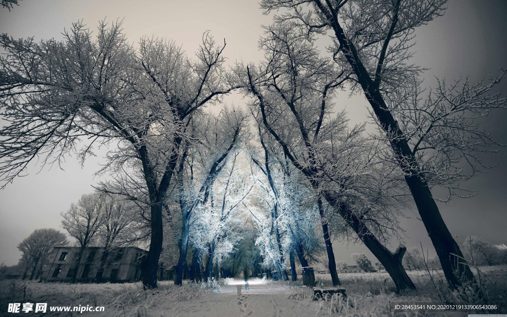 风景 雪景