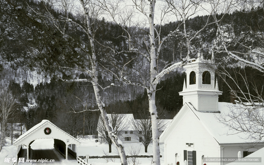 风景 雪景