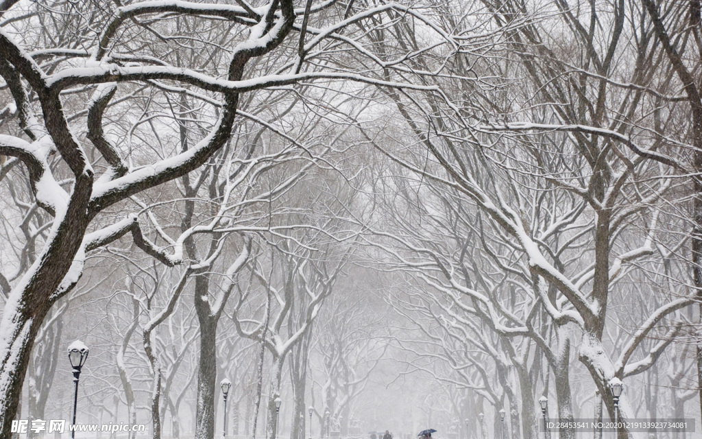 风景 雪景