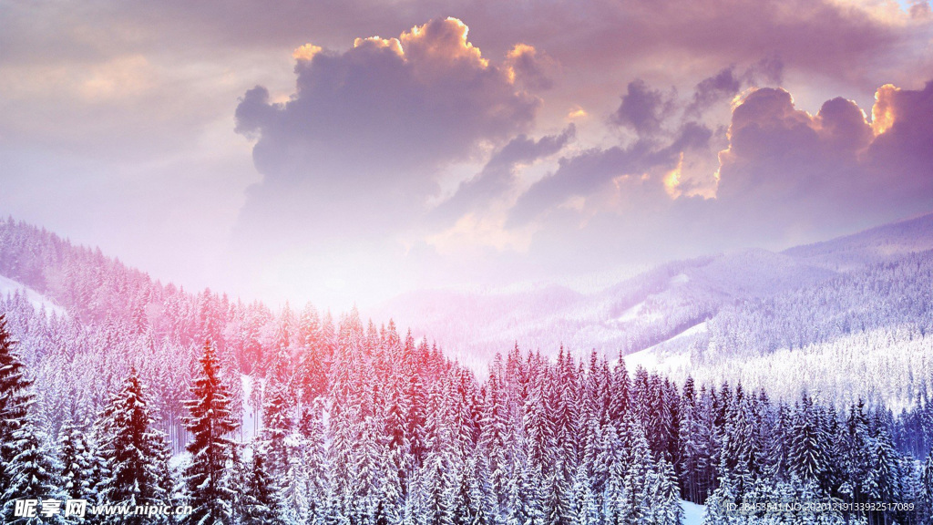 风景 雪景