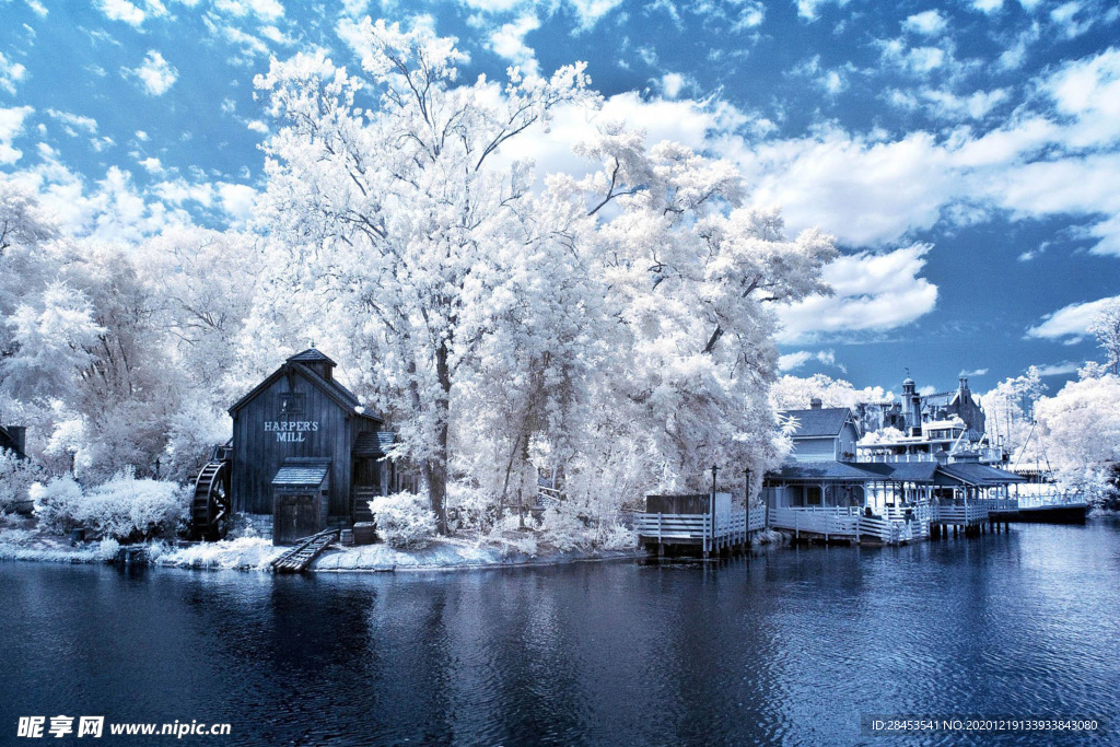 风景 雪景