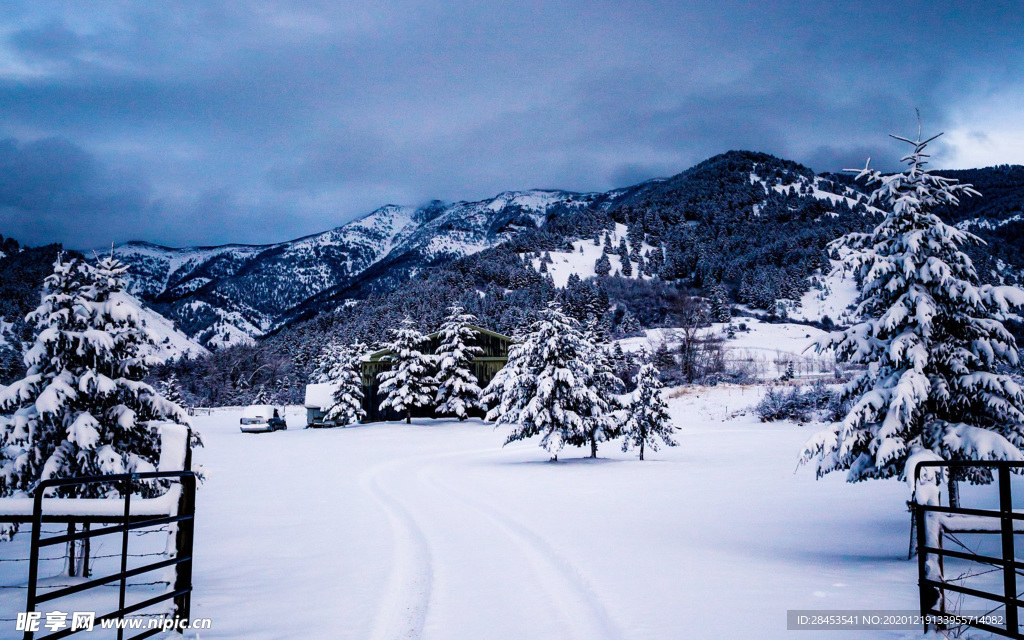 风景 雪景