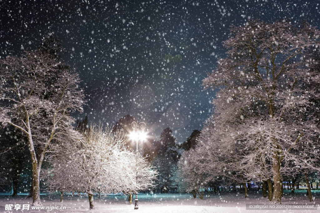 风景 雪景
