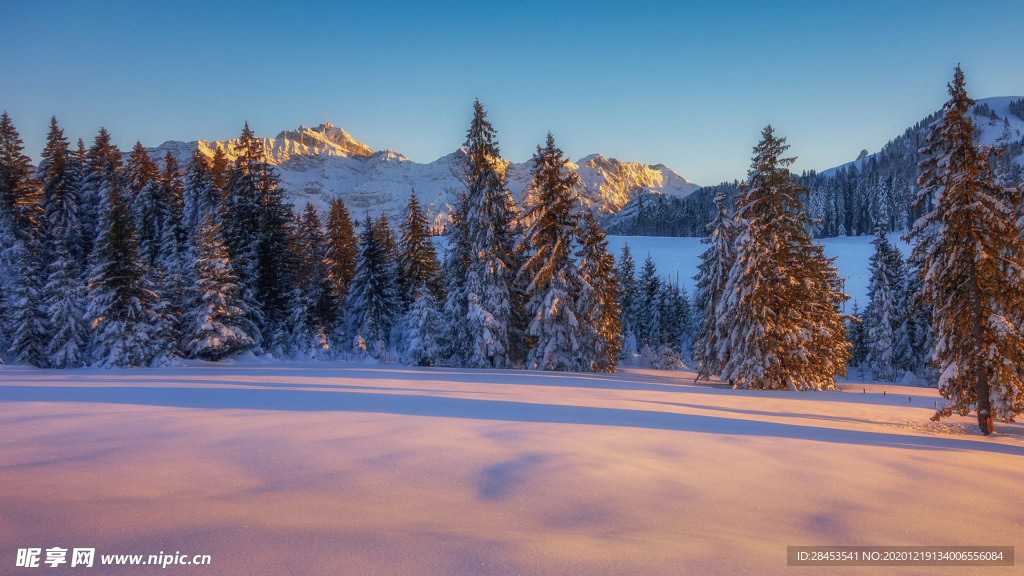 风景 雪景