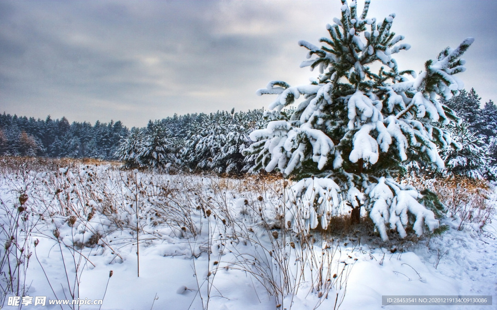风景 雪景