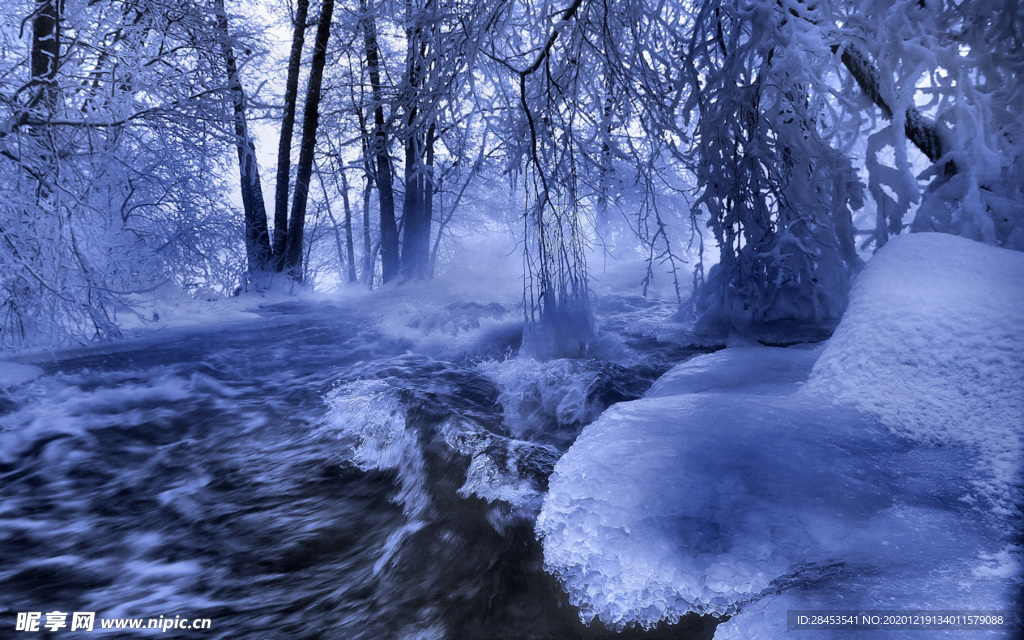风景 雪景