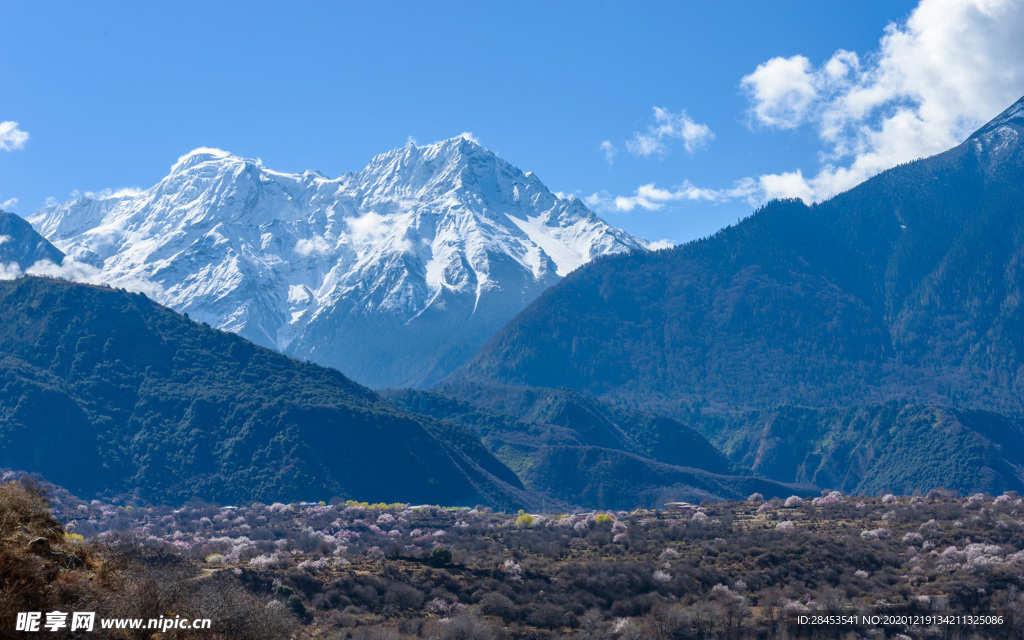 风景