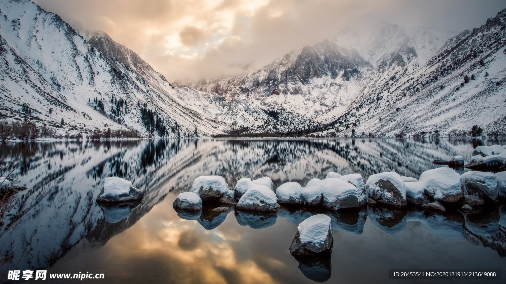 风景