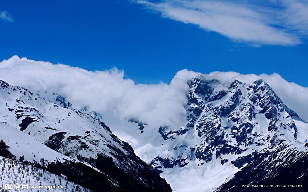 风景