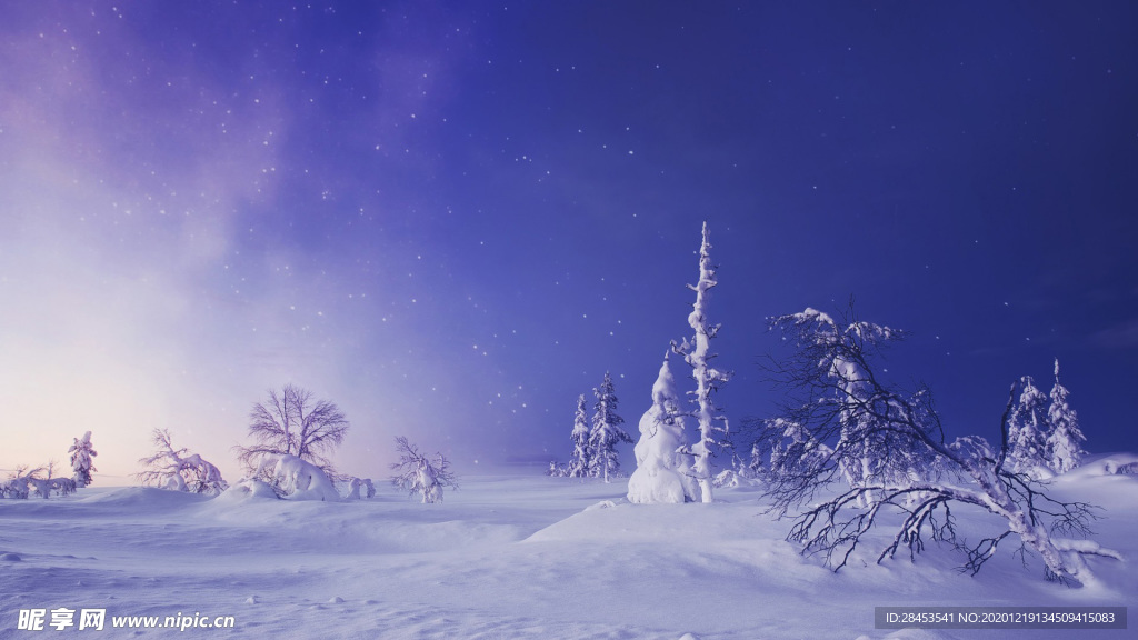 风景