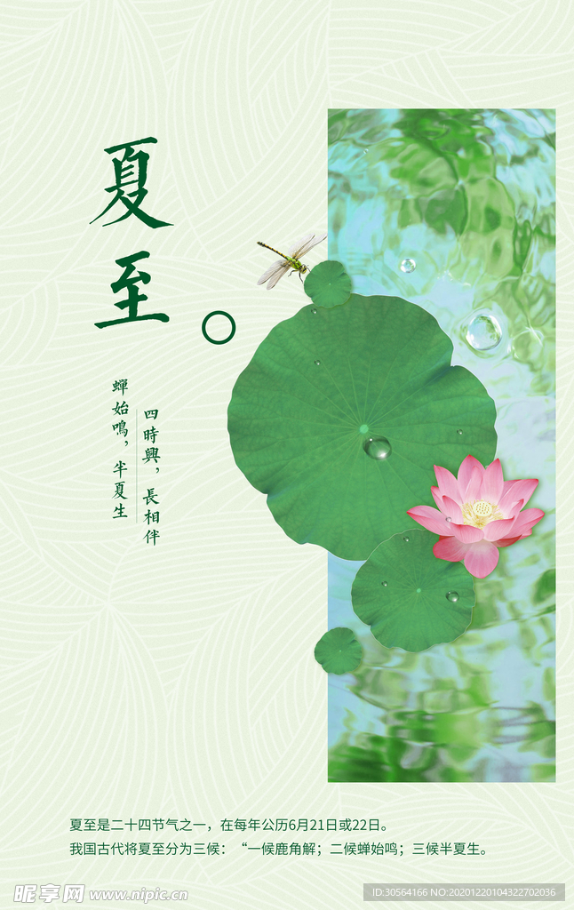 夏至节气传统活动宣传海报素材