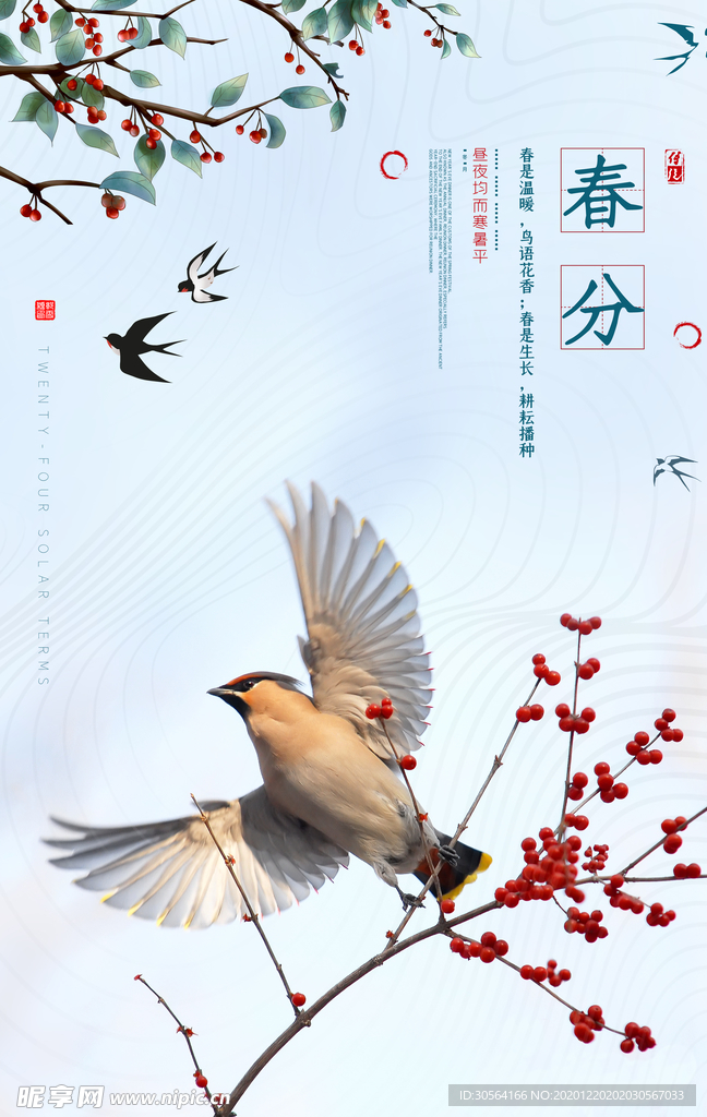 春分节气传统活动宣传海报素材