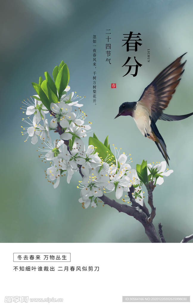 春分节气传统活动宣传海报素材