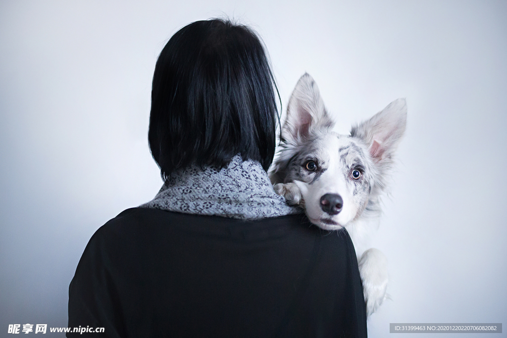 动物 宠物 狗 猫