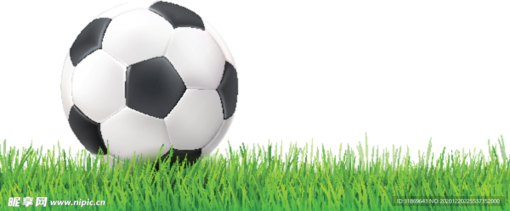 足球 体育运动