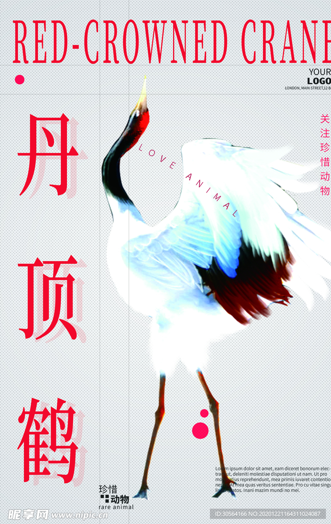 保护野生动物公益宣传海报素材