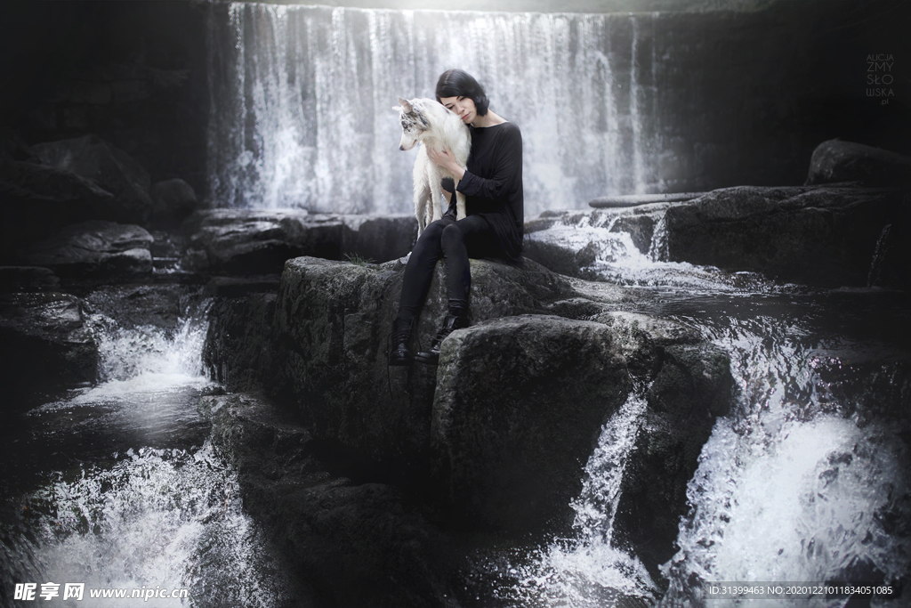 动物 宠物 狗 猫